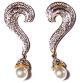 American Diamond Earrings ESWA02943 Indian Jewellery