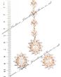 Elegant Tikka and Studs IGWA04369 Indian Jewellery